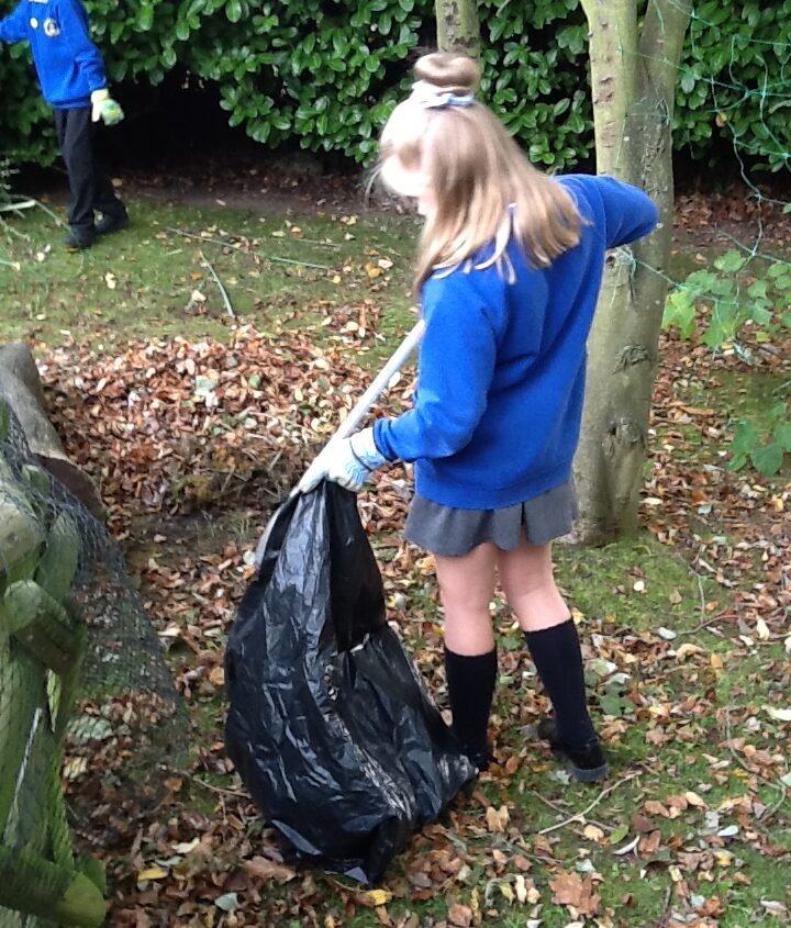 Child Litter Picker