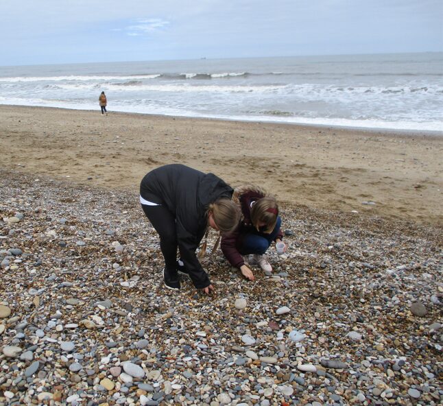 Children on Seaham Hall Beach picking up stones