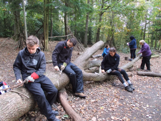 Forest School Training, Level 2 Assistant, October 2026, County Durham