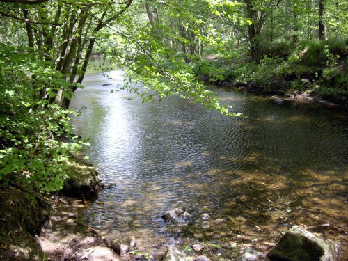 Hamsterley Forest Self Led Visits