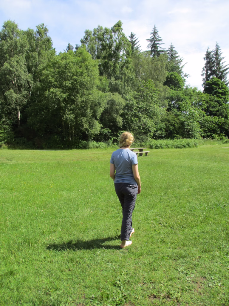 Forest Bathing Training -Level 2 Assistant, County Durham