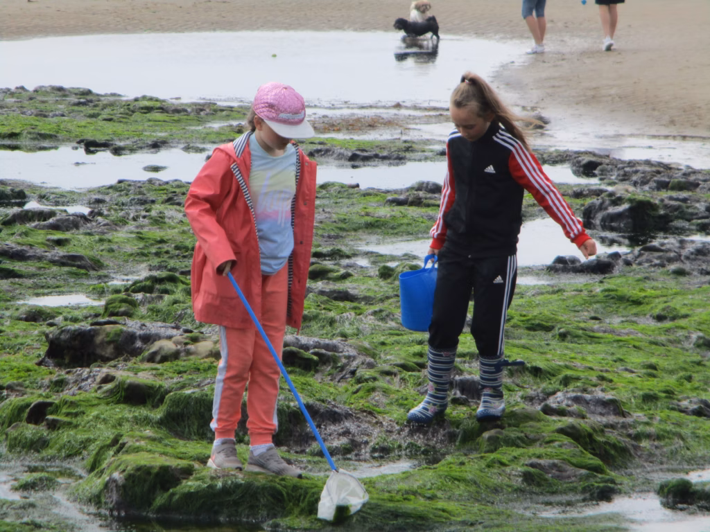 Rockpool Exploration