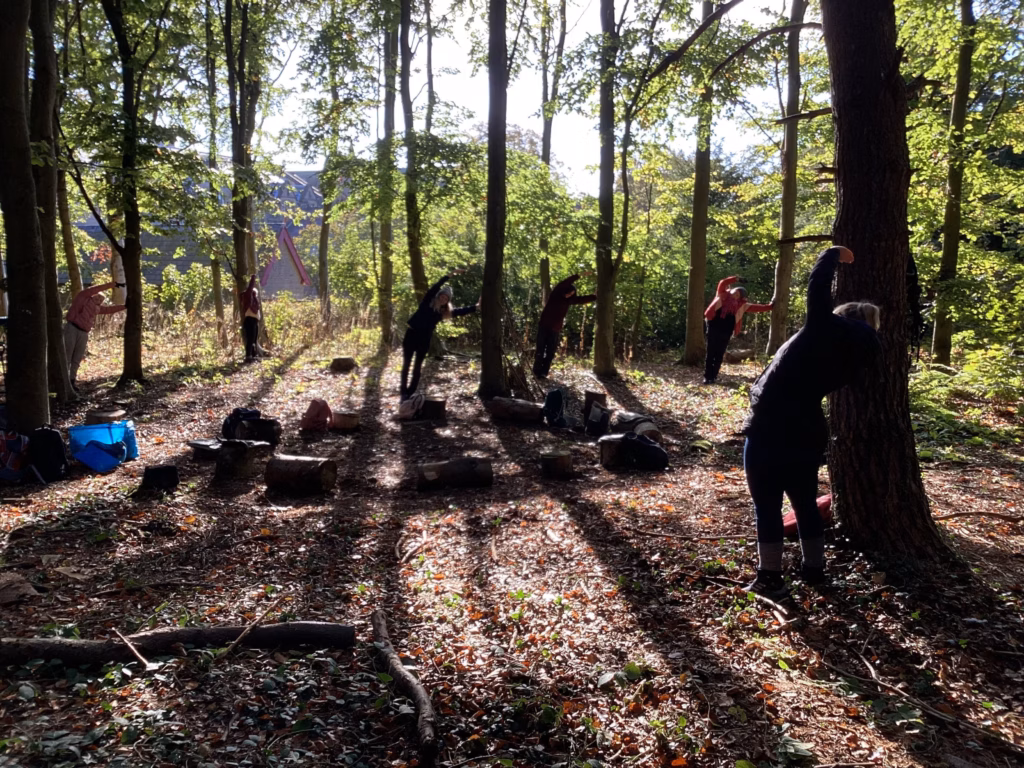 Forest Bathing Training -Level 3 Leader, County Durham