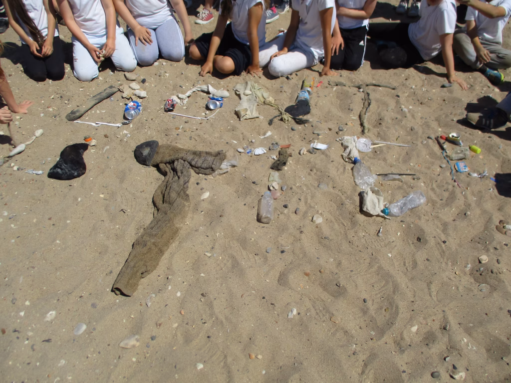 Plastic Pollution in our Seas