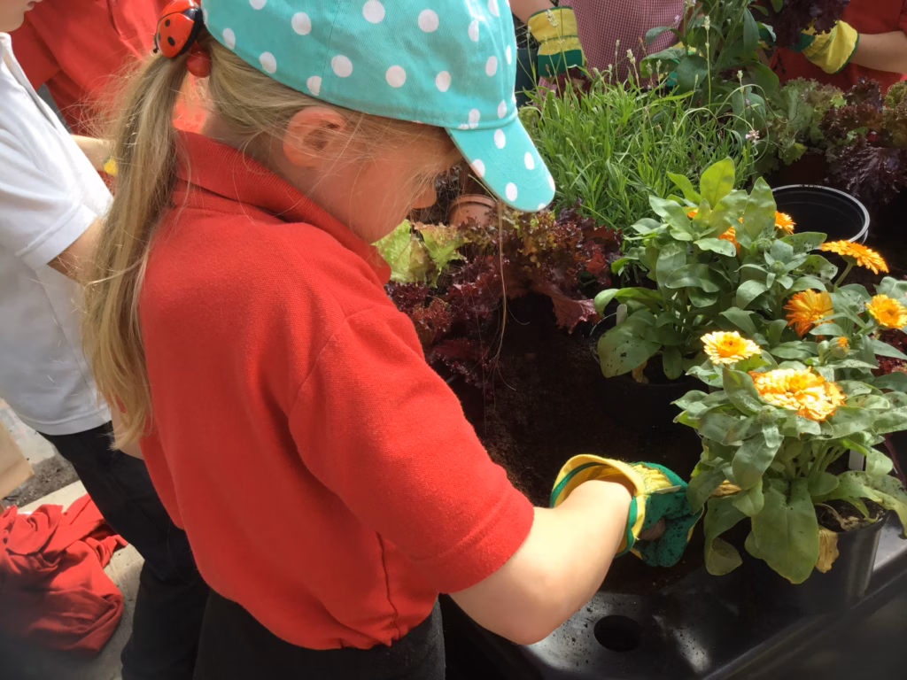 Get Growing - School Gardening Support