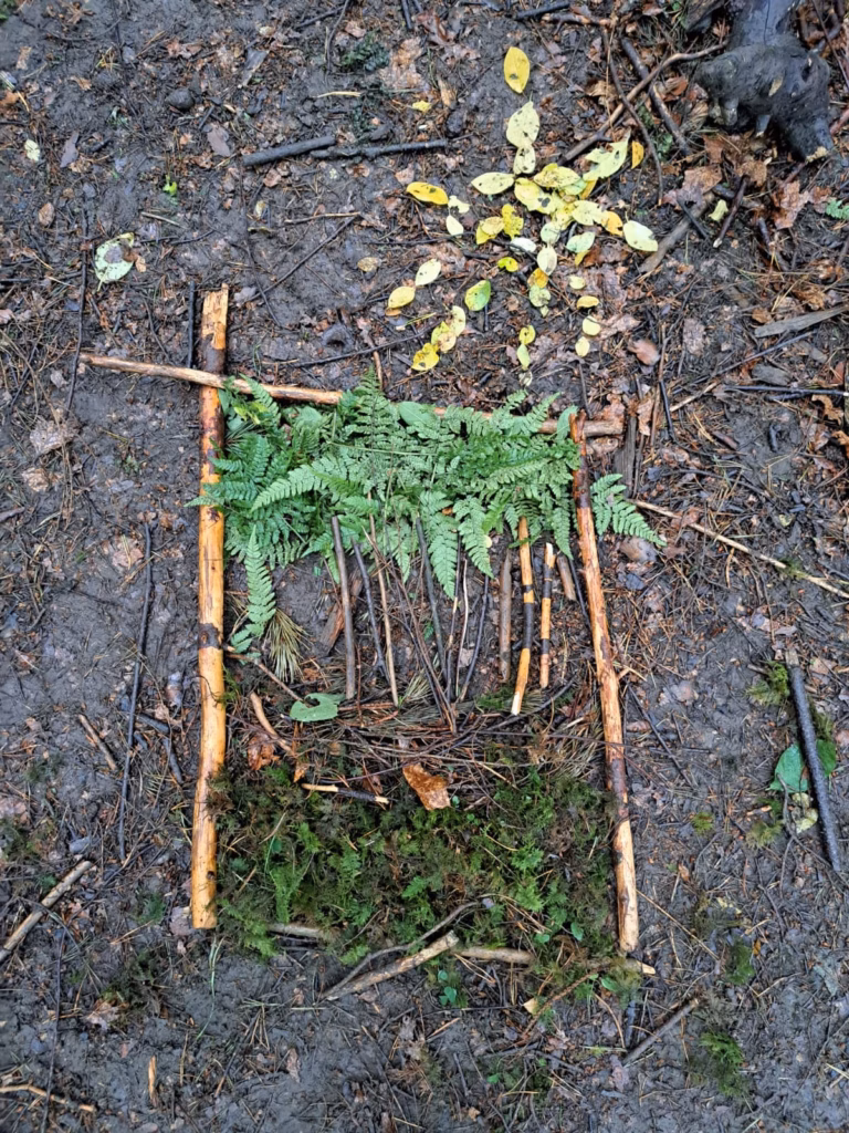 Rainforest Survival Day