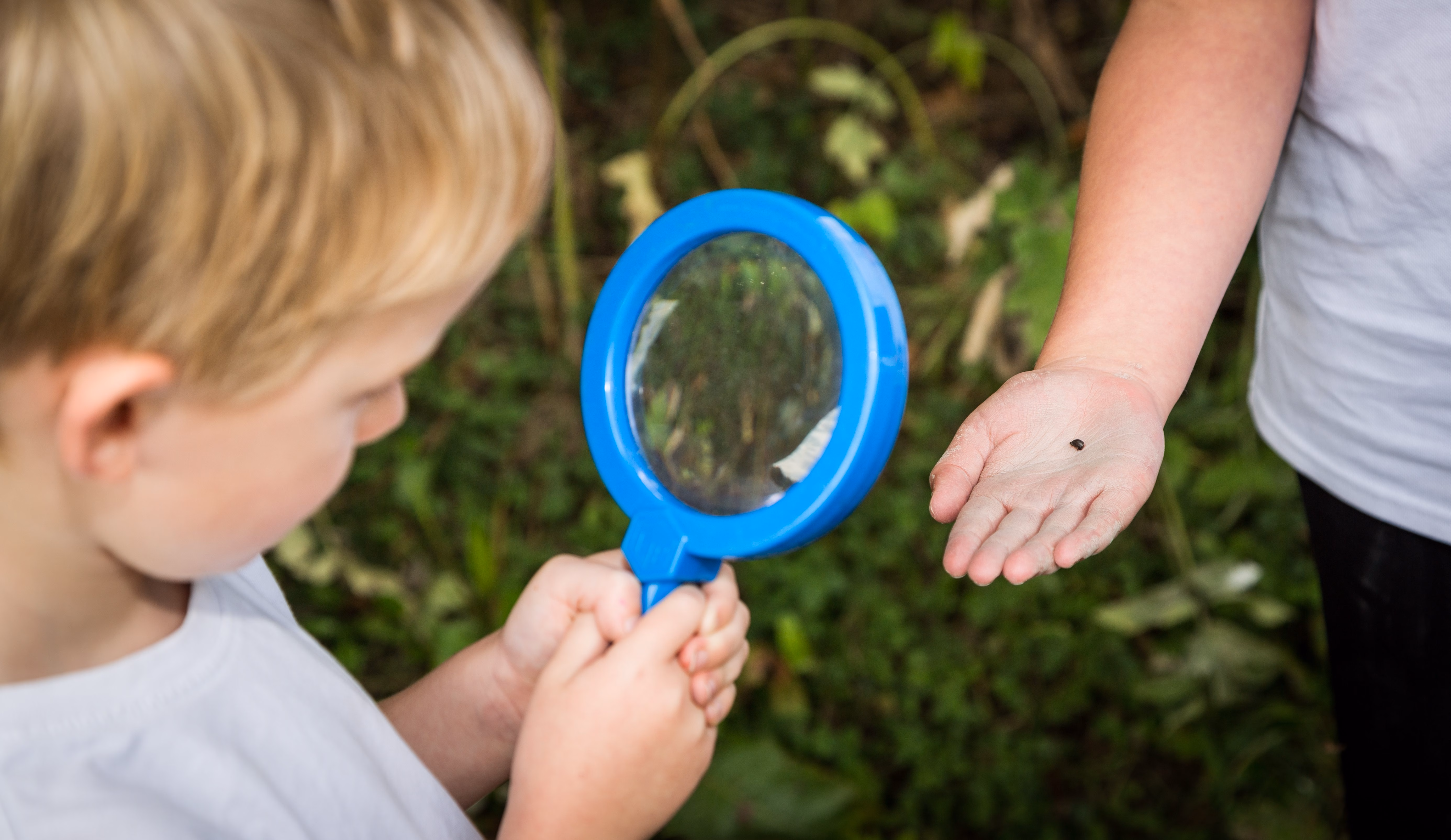 Ks1 child with blue magnifying glass