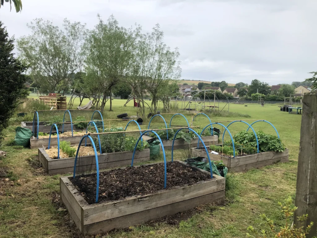 Using your School Garden to Teach across the Curriculum