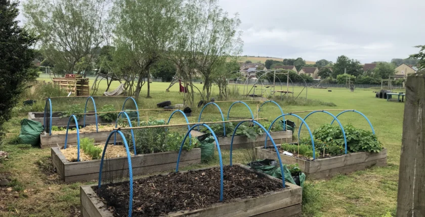 Using your School Garden to Teach across the Curriculum