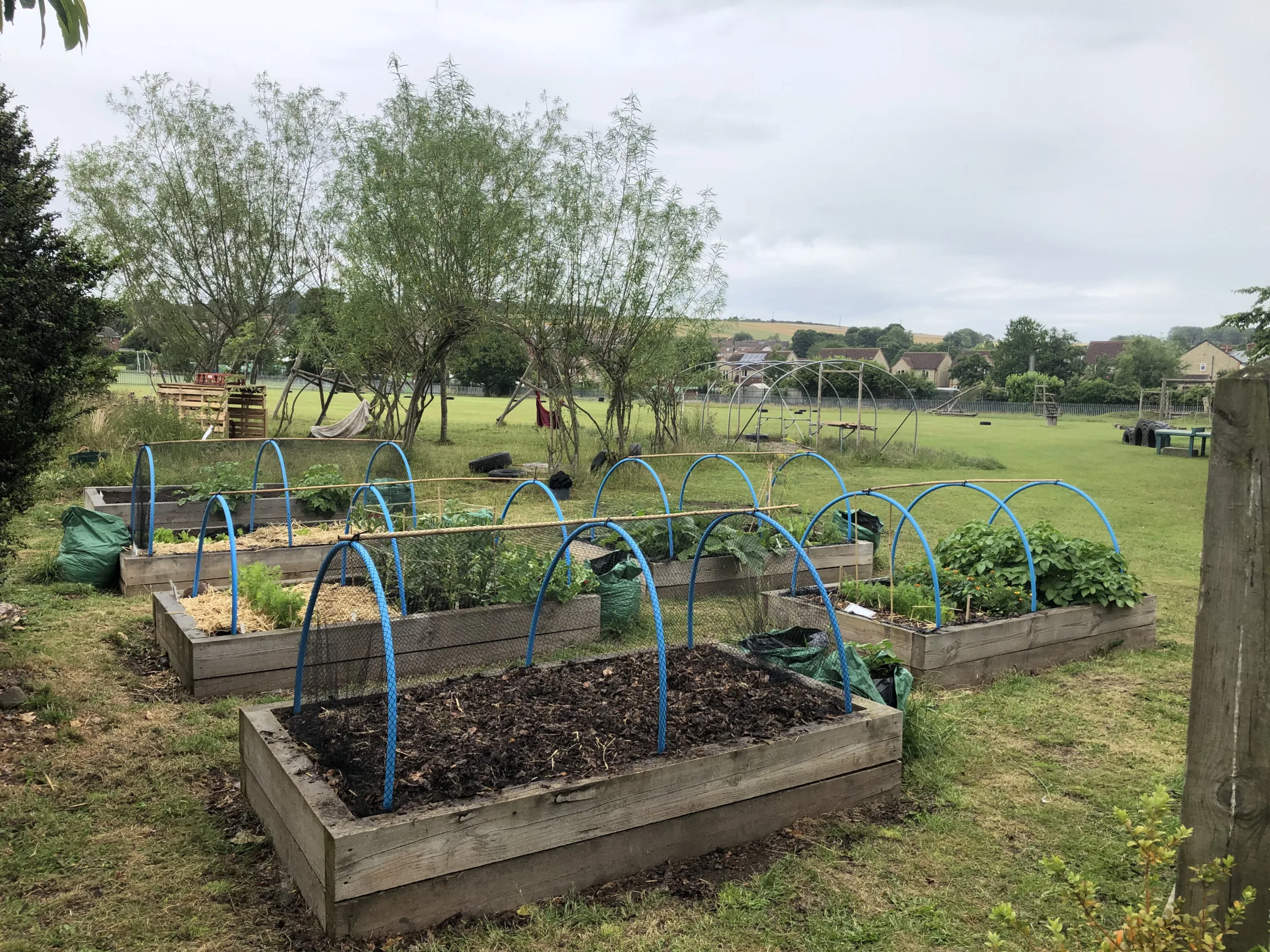 Using your School Garden to Teach across the Curriculum
