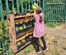 Child planting a vertical wall