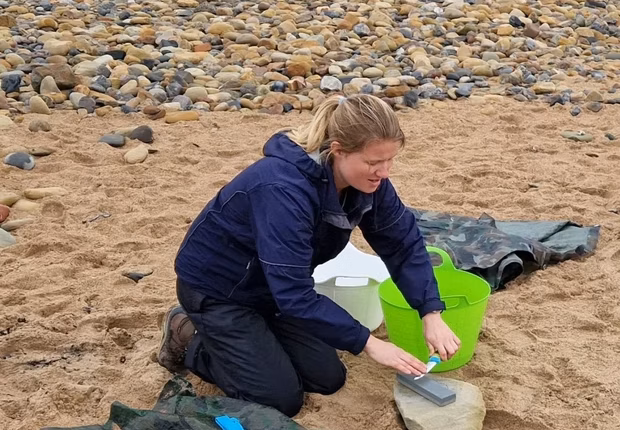 Beach Schools Training, North East, 26th-27th May 2027