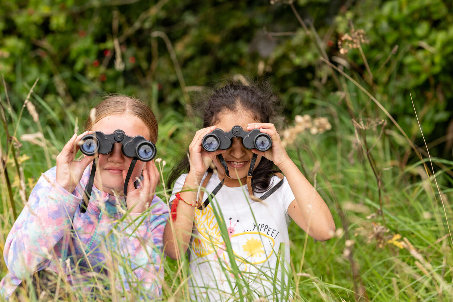 Two young people looking through binoculars in the long grass